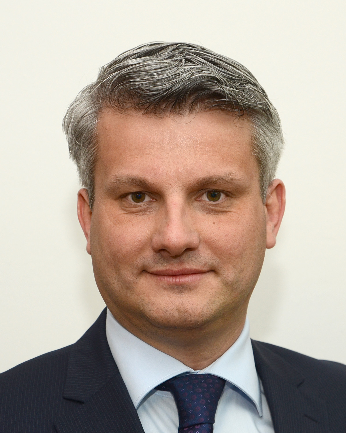 Pročelnik - Aleksandar Matić