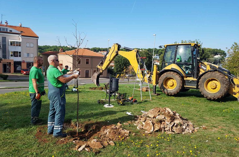 Sadnja Stabala U Sklopu Akcije Zasadi Drvo Ne Budi Panj Grad Pula