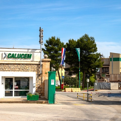 Calucem