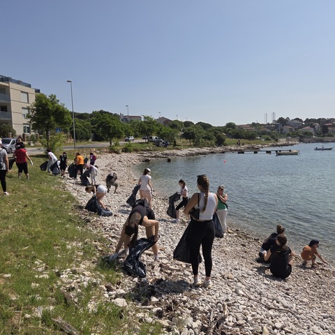 Eko akcija