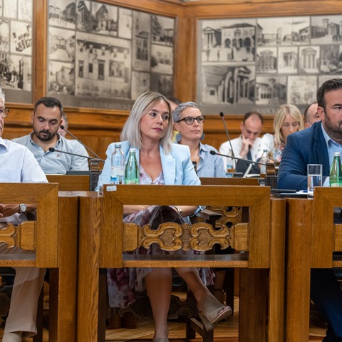 Gradsko vijeće Pule