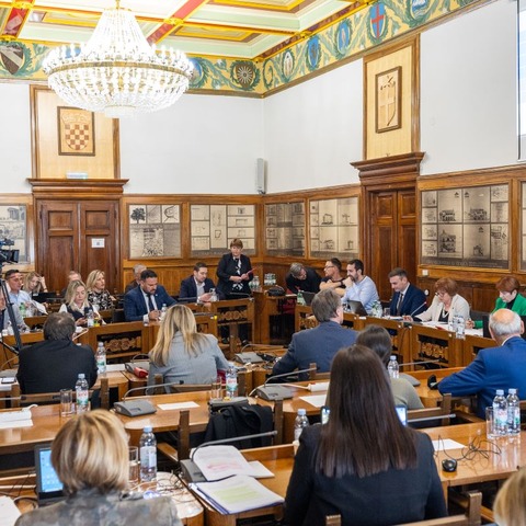 nastavak 41. sjednice Gradskog vijeća Grada Pule