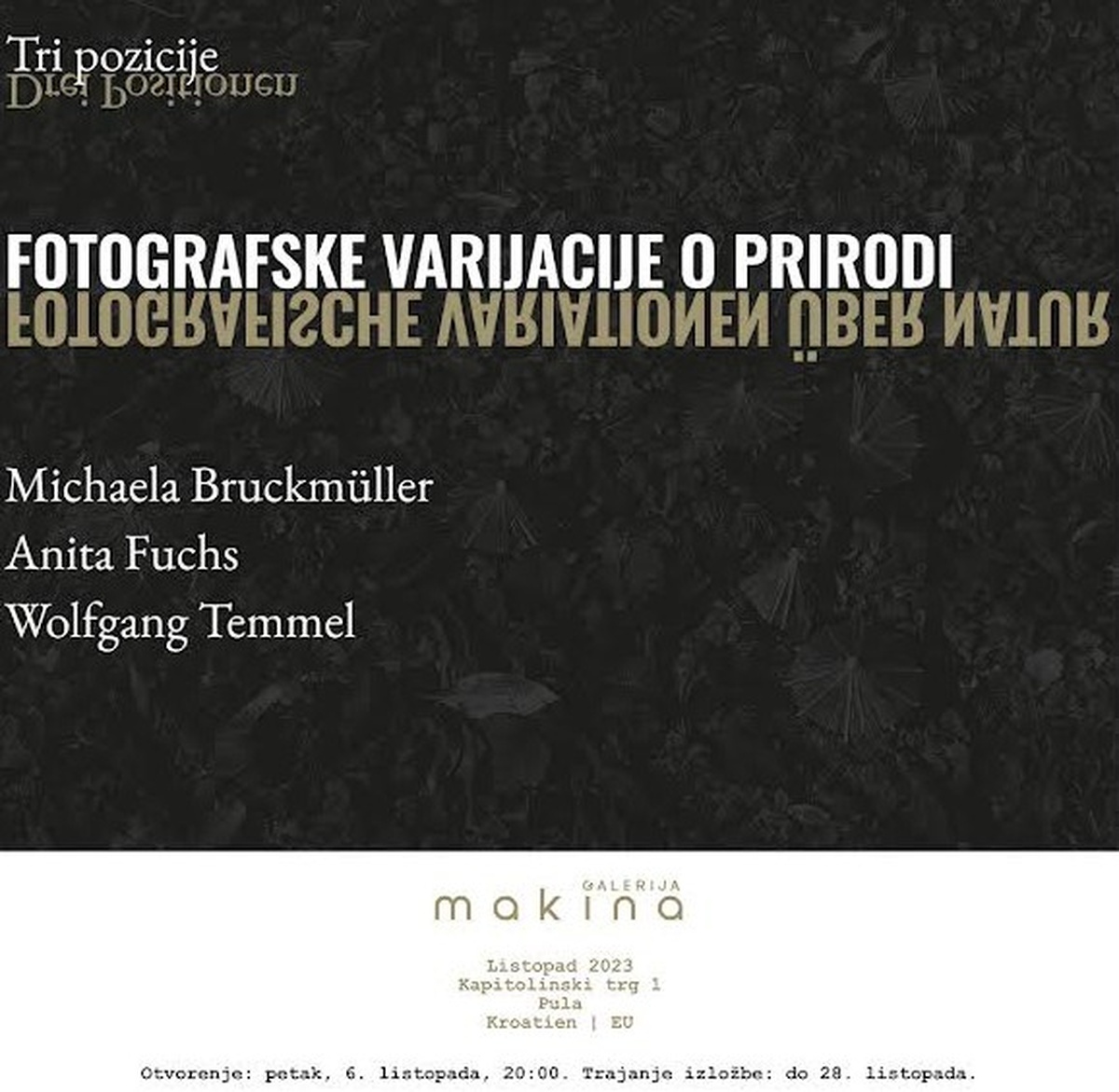 U Galeriji Makina izložba fotografija „Fotografske varijacije o prirodi“