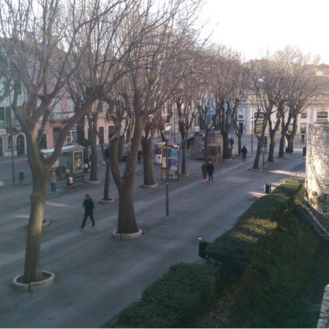 Giardini