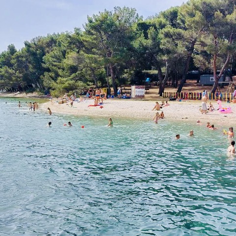 Fratarski