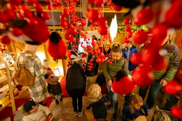 Advent u Puli