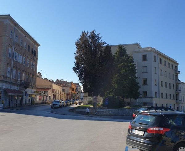Istarska ulica - suhi čempres