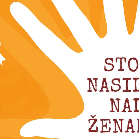 Predavanje u povodu Međunarodnog dana borbe protiv nasilja nad ženama