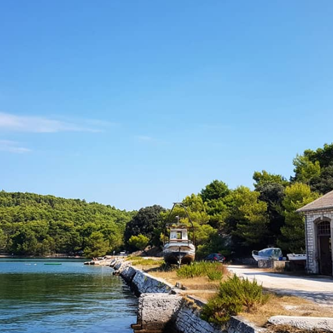 Izlučivanje divljači na području Valelunge i Štinjana