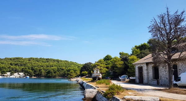 Izlučivanje divljači na području Valelunge i Štinjana