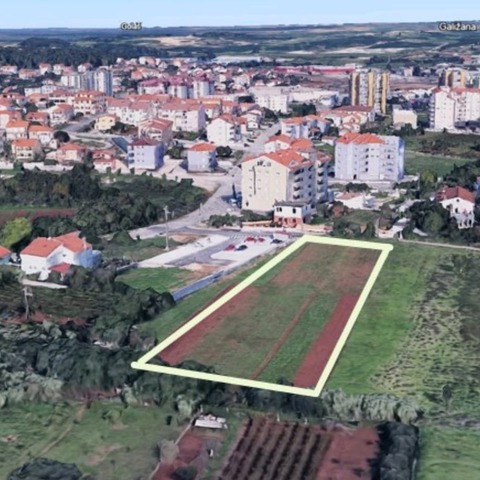 Urbana šuma