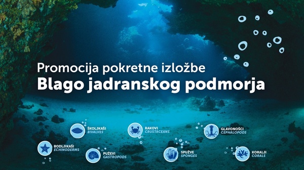 izložba Blago jadranskog podmorja