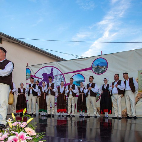 56. smotra narodne glazbe i plesa Puljštine_KUD "Barban"