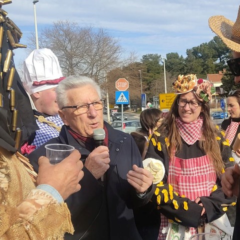 Pulski karneval