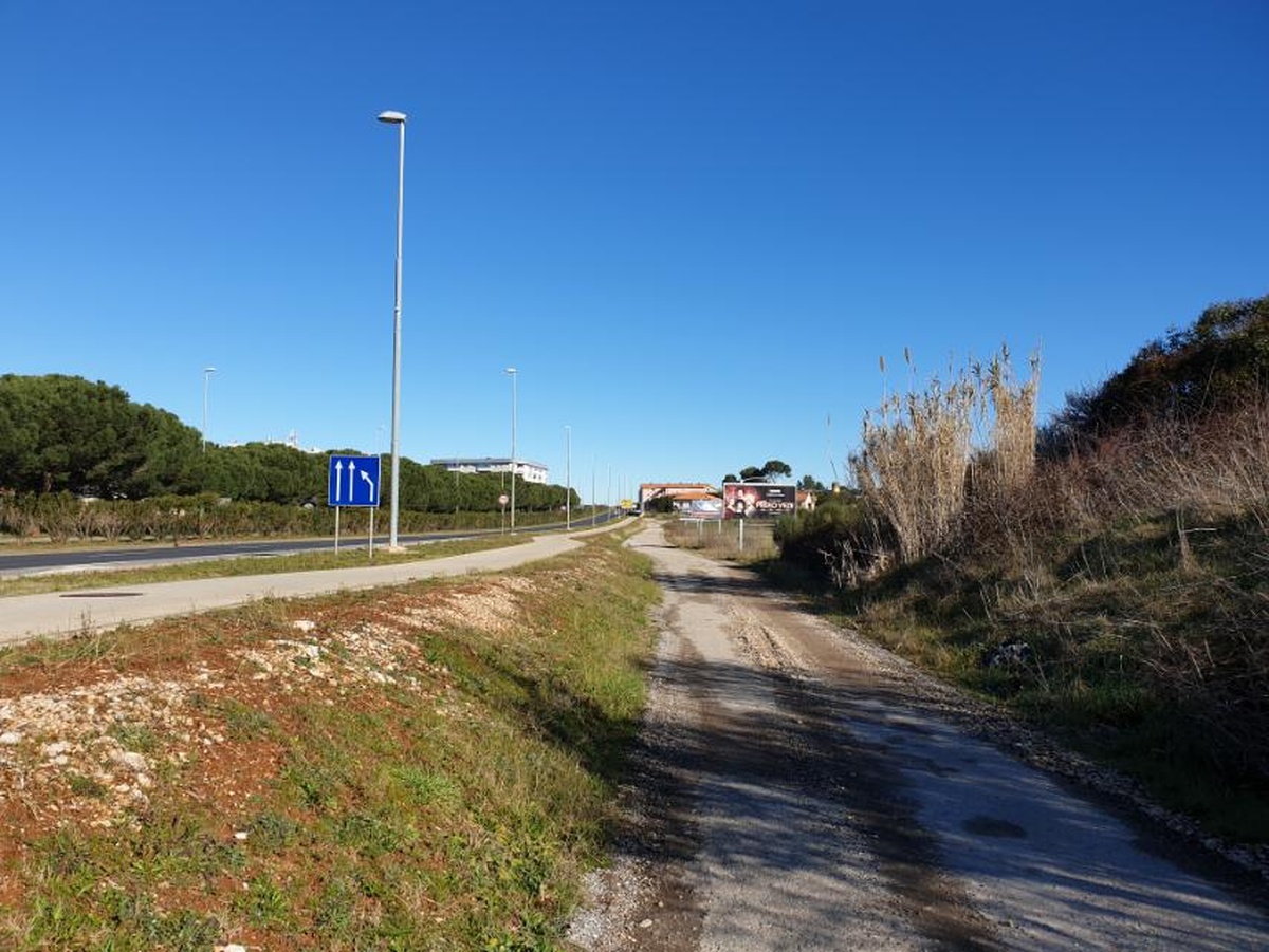 Ozelenjivanje zaobilaznice