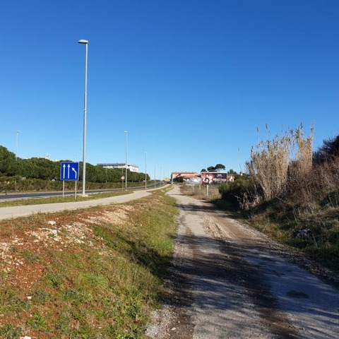 Ozelenjivanje zaobilaznice