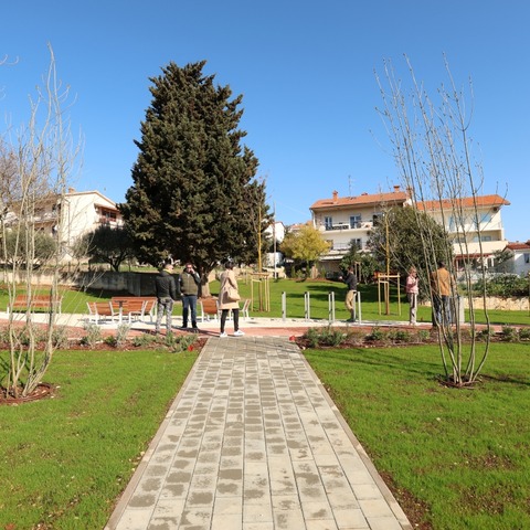 Palisina ulica - uređena zelena površina