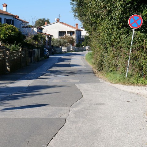 Paduljski put