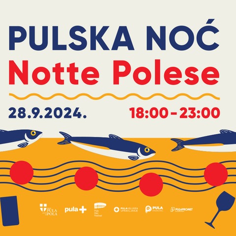 Pulska noć