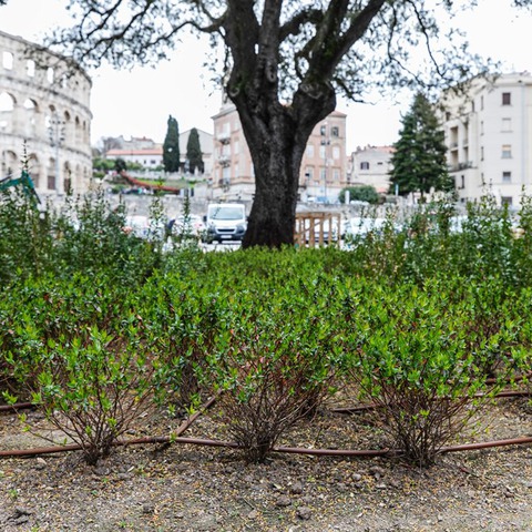 Radovi u Parku Nimfej