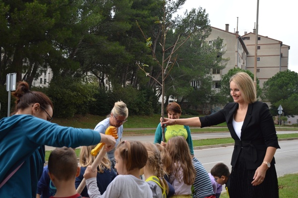 Sadnja u sklopu akcije Zasadi stablo ne budi panj 2019