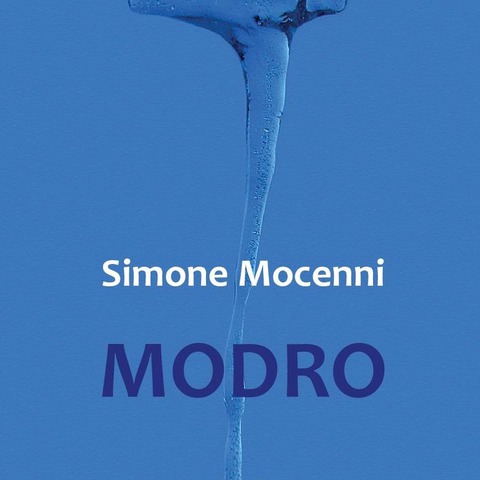 Simone Mocenni, Modro