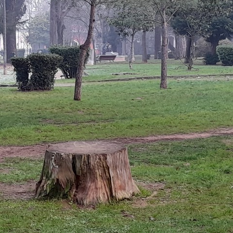 Ilustracija