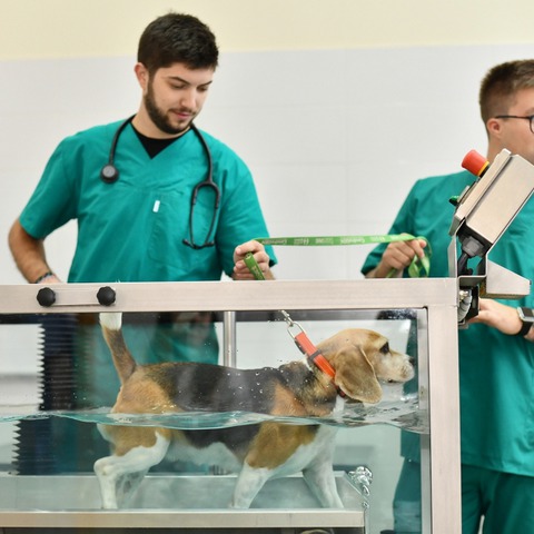 Veterinarski kongres u Puli