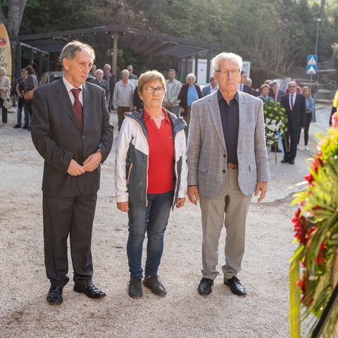 Vijenci - Gortanova uvala