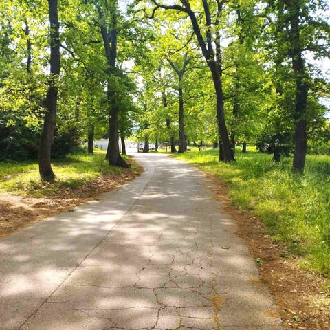 izgradnja javne rasvjete odvojka od Šišanske ceste do Doma za odrasle osobe Vila Maria