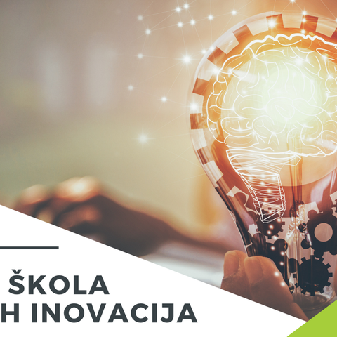 Virtualna škola društvenih inovacija