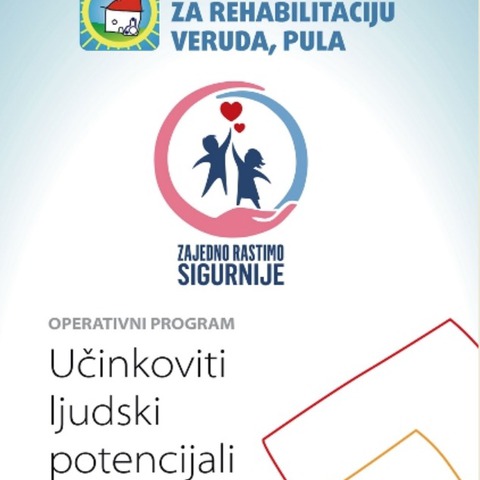 Vizual projekta