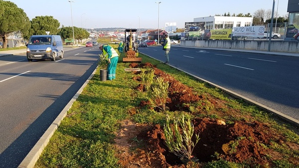 fotografija uređenja zelene površine unutar razdjelnog otoka obilaznice