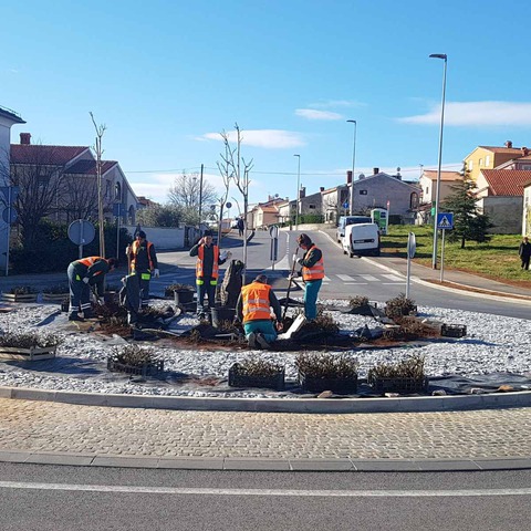Hortikulturno uređenje rotora na Valturskoj