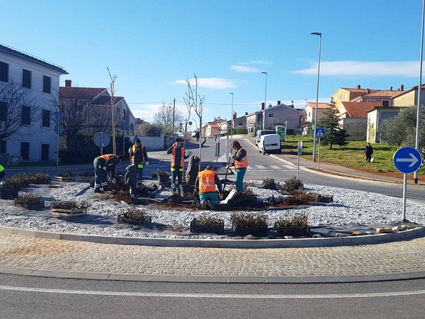 Hortikulturno uređenje rotora na Valturskoj