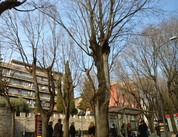 ladonje_Giardini