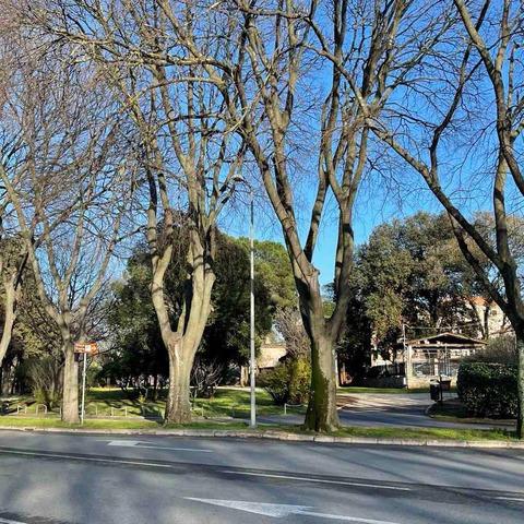 Park Anne Frank