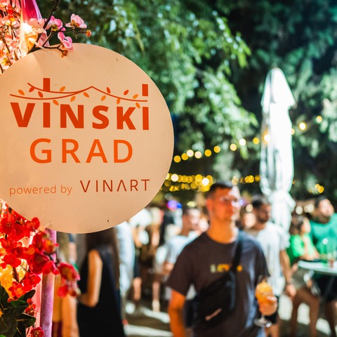 Vinski grad