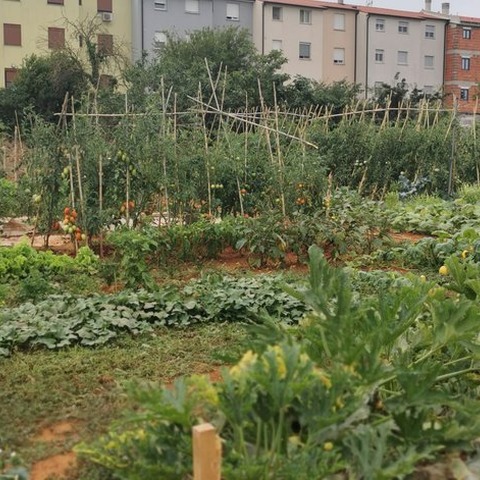 urbani vrtovi_arhiva