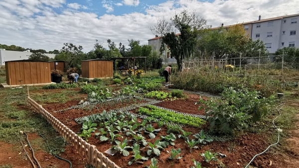 Građani mogu uzgajati povrće, jagodičasto voće, začinsko bilje i cvijeće za vlastite potrebe, uz osigurano korištenje vode i alata.