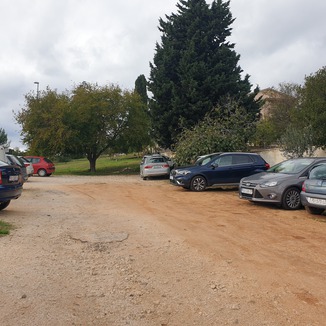 Započeli radovi uređenja zelene površine u Palisinoj ulici