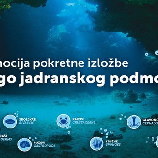 Na pulskoj Rivi pokretna izložba Blago jadranskog podmorja