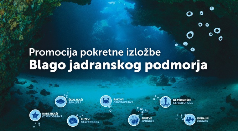 Na pulskoj Rivi pokretna izložba Blago jadranskog podmorja