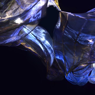 Ida Blažičko: “Morphotex”