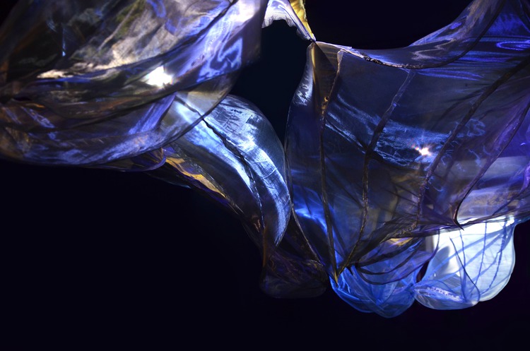 Ida Blažičko: “Morphotex”