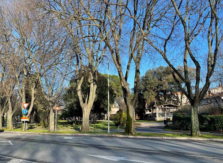 Park Anne Frank