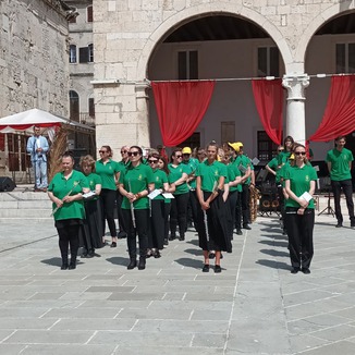 Puhački orkestar grada Pule