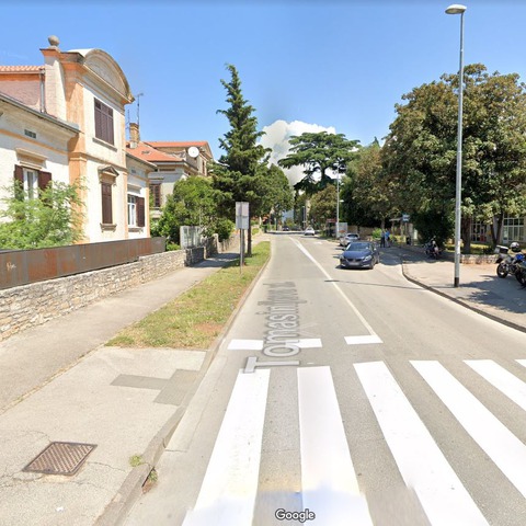 Tomasinijeva ulica