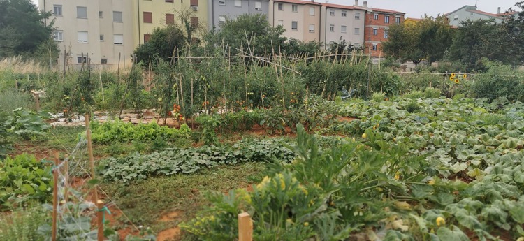 Urbani vrtovi na Gregovici